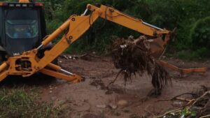 limpieza de basura en culiacan