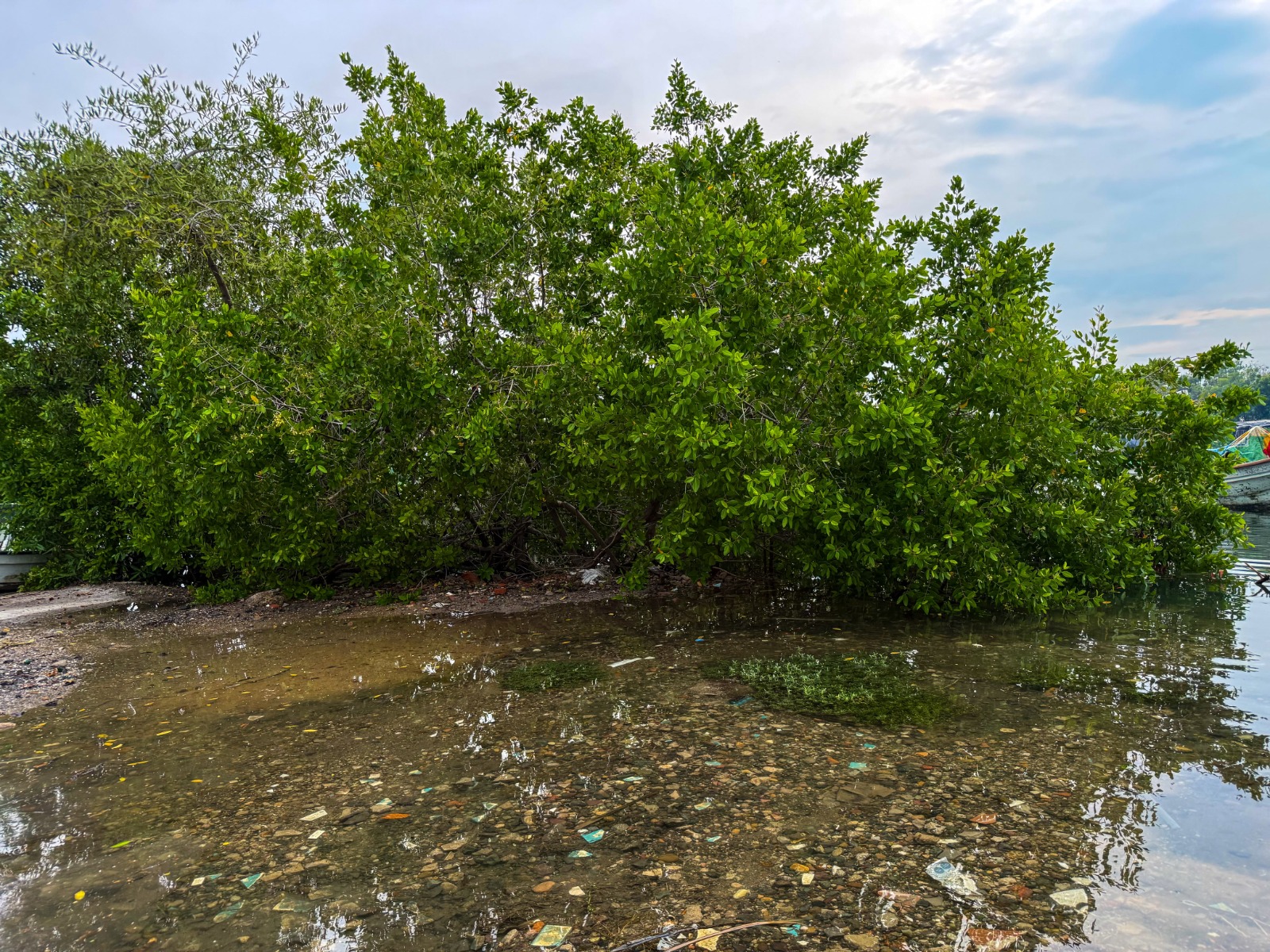 Limpieza del Estero El Infiernillo, Mazatlán