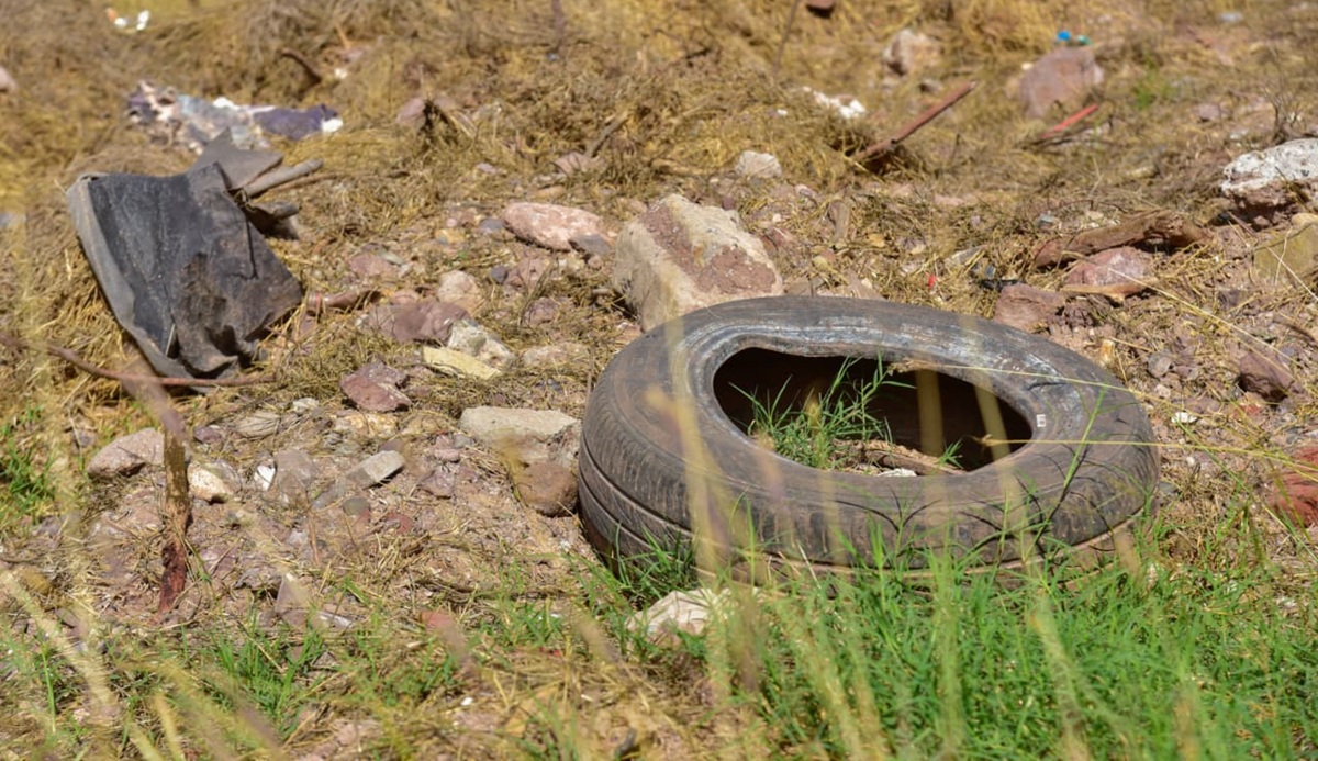 Llaman a mantener patios limpios para combatir el dengue en Ahome