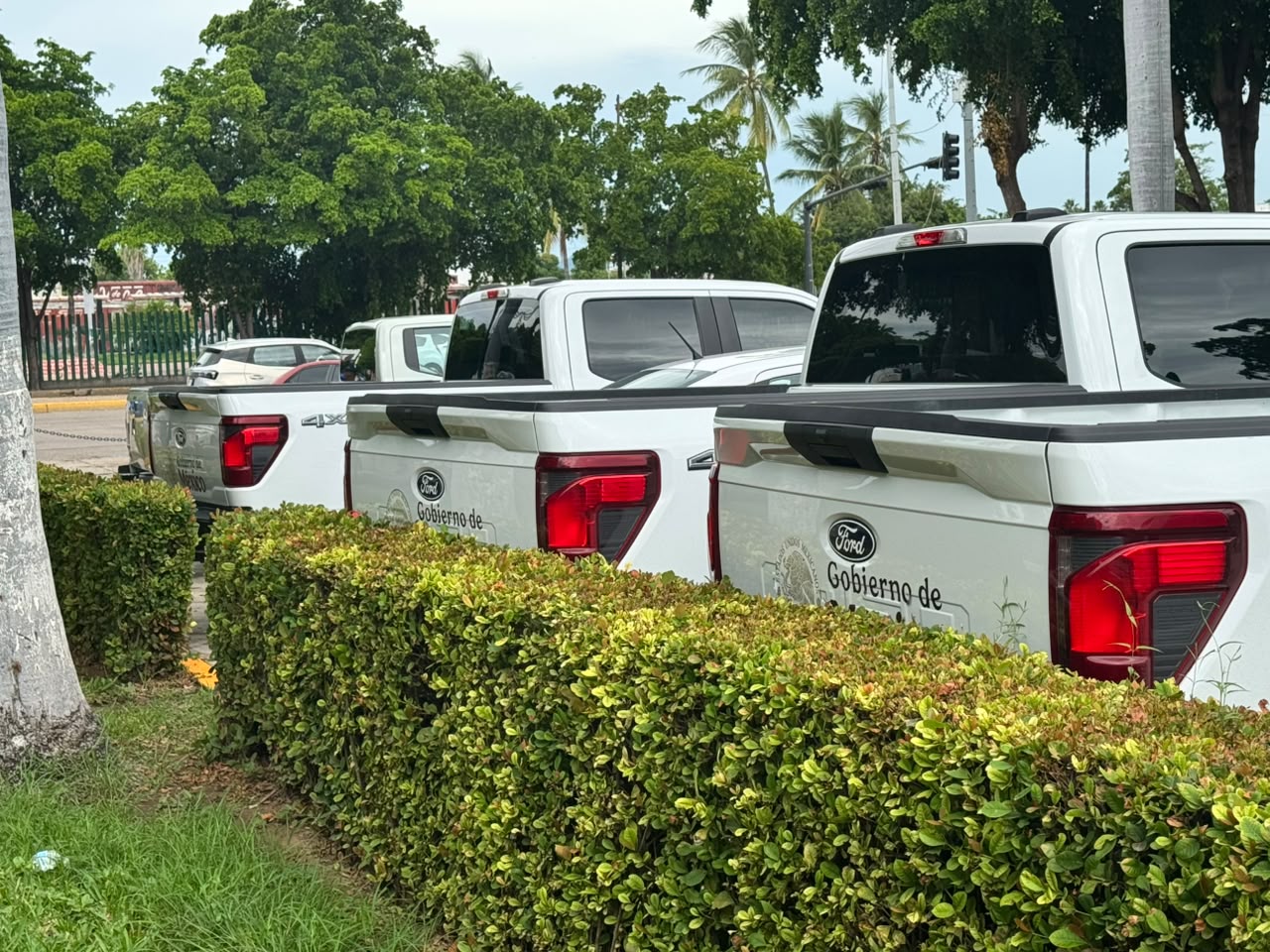 Camionetas de Sader