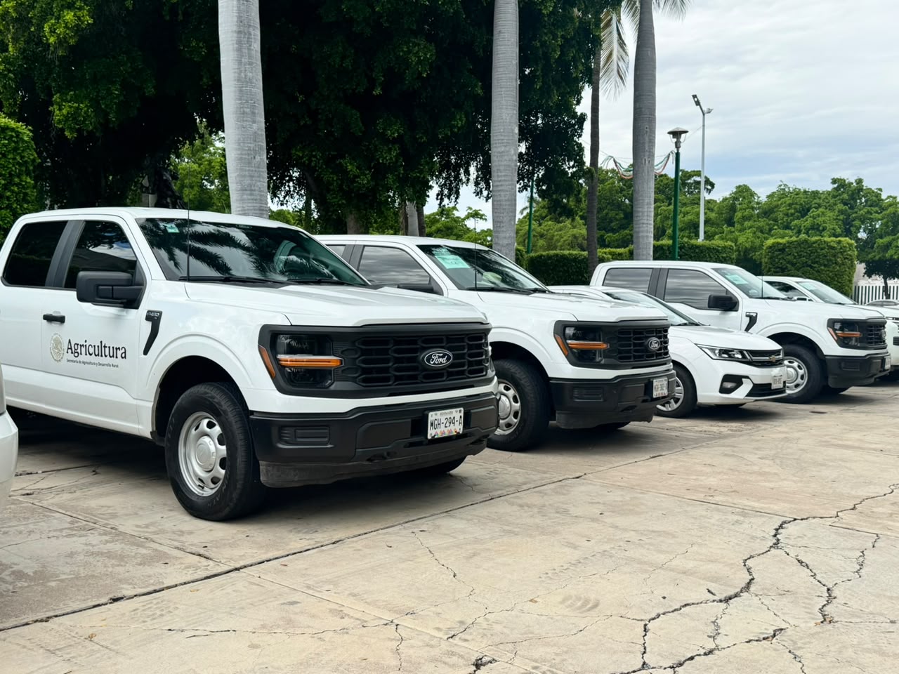 Camionetas de Sader