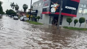 lluvia en los mochis deja arboles caidos e inundaciones de calle