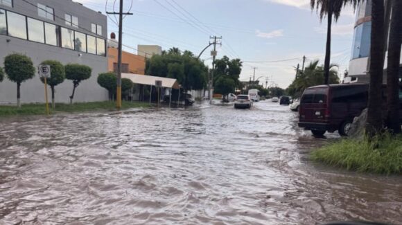 Caídas de árboles, cortes de luz y encharcamientos, el saldo de las lluvias registradas en Ahome, Sinaloa