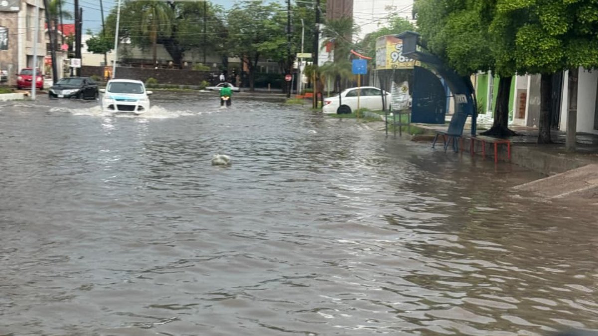 lluvia en los mochis deja arboles caidos e inundaciones de calles agua