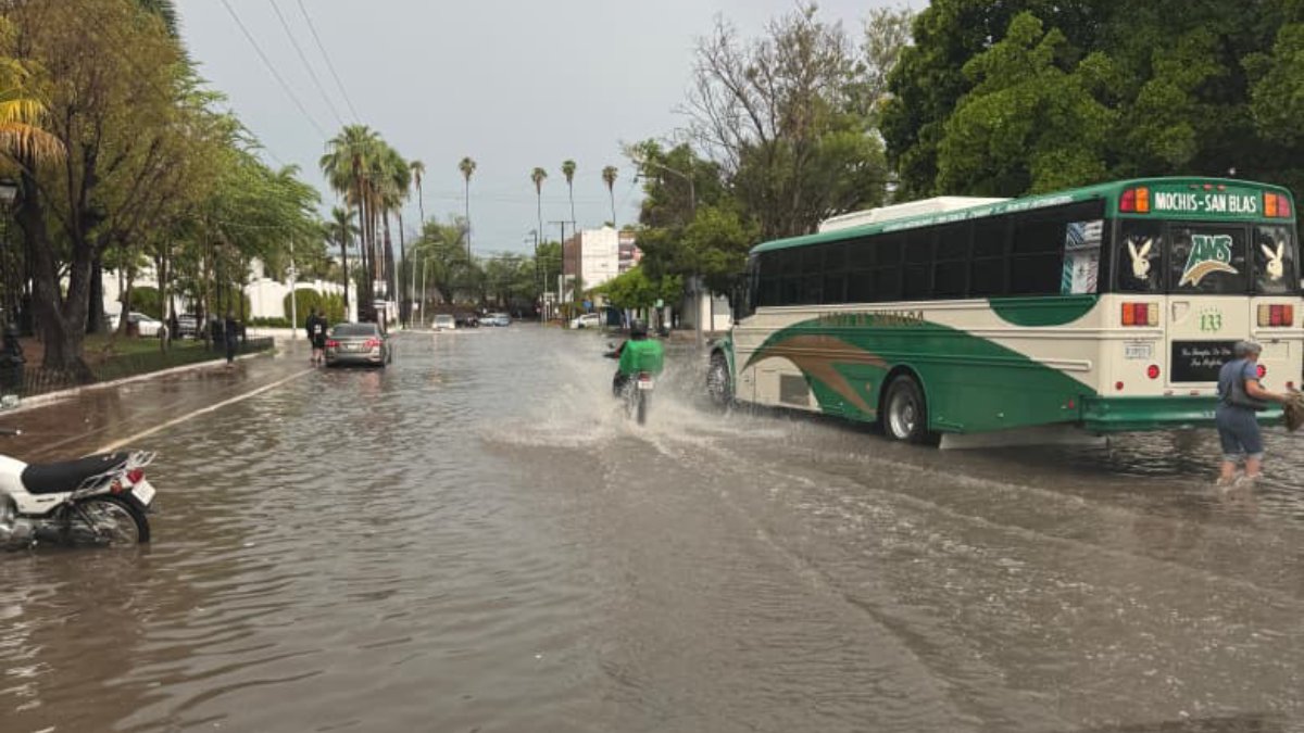 lluvia en los mochis deja arboles caidos e inundaciones de calles camion