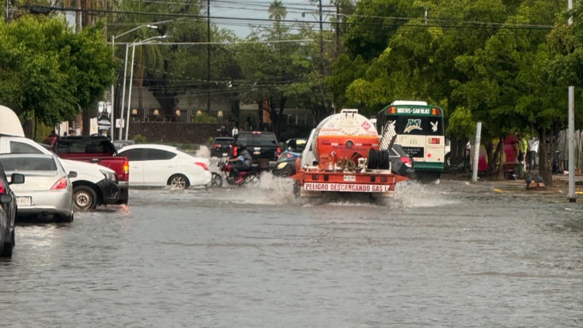 lluvia en los mochis deja arboles caidos e inundaciones de calles lugar