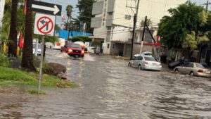 lluvia en los mochis deja arboles caidos e inundaciones de calles maas