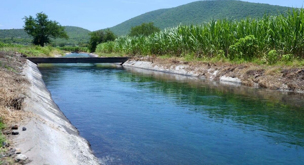 Lluvias generan recuperación en presas de la región, pero la crisis económica limita labor en Valle del Fuerte: AARFS