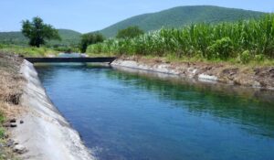 Lluvias generan recuperación en presas de la región, pero la crisis económica limita labor en Valle del Fuerte: AARFS