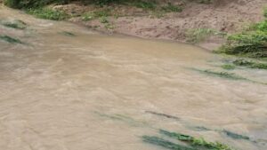 lluvias provocan ingreso de agua en alrededor de 20 viviendas de copales escuinapa sin