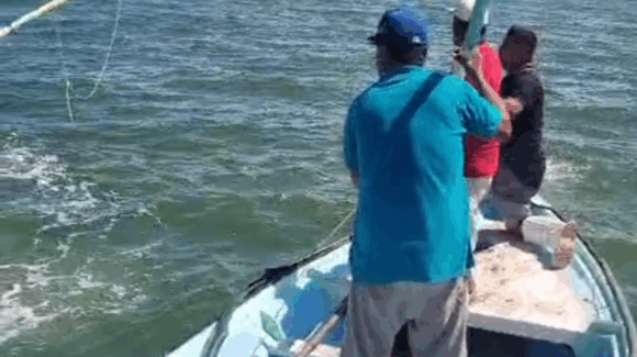 Localizan sin vida a pescador desaparecido en la Isla de los Patos de Paredones, Ahome, Sinaloa