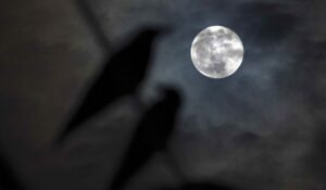 ¡Espectáculo prometedor! Luna de la Cosecha y Saturno se encontrarán en el cielo este fin de semana