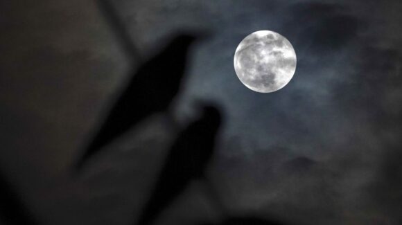 ¡Espectáculo prometedor! Luna de la Cosecha y Saturno se encontrarán en el cielo este fin de semana