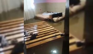 “Se nos metió el agua hasta la recámara, salimos solo con una bolsa con ropa en la mano”, relatan vecinos de El Colorado, en Ahome, Sinaloa