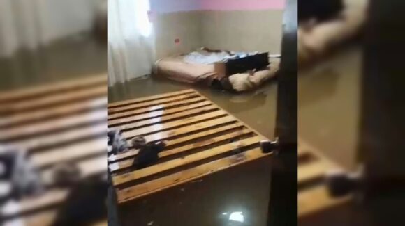 “Se nos metió el agua hasta la recámara, salimos solo con una bolsa con ropa en la mano”, relatan vecinos de El Colorado, en Ahome, Sinaloa
