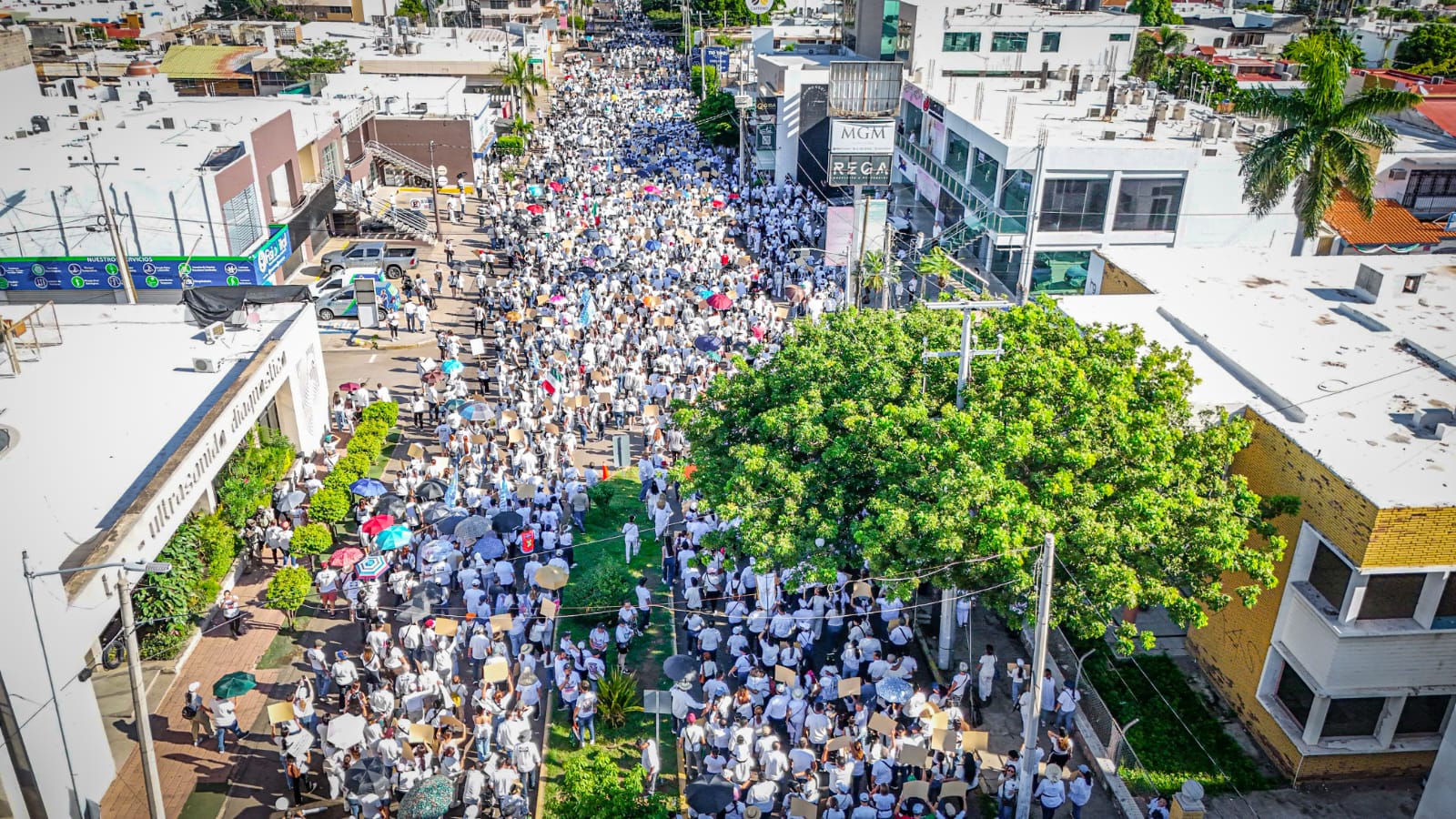 Marcha por la paz de Culiacán