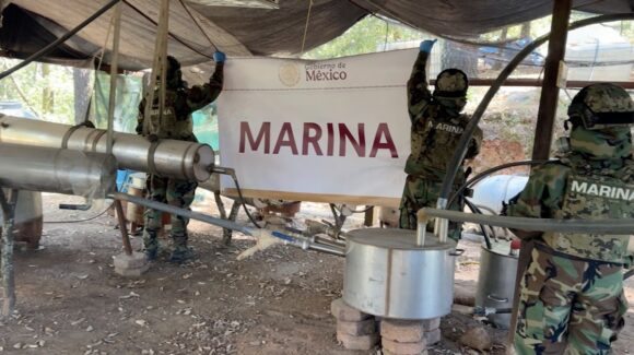 Marina asesta golpe millonario al narco; destruye más de 76 millones de plantas y neutraliza 131 laboratorios en México