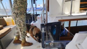 marina intercepta dos yates y rescata a 45 personas en ensenada perro