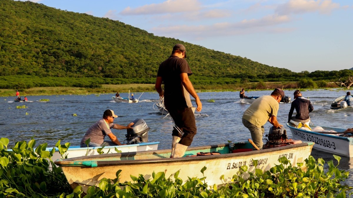 mas de 200 productores retoman la actividad en el salto pesca