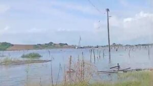 narejadas dejan incomunicadas 20 familias de el realengo inundado