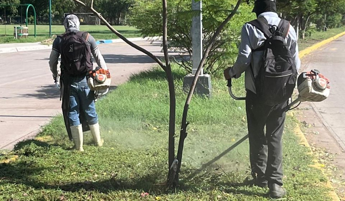 Obras públicas en Guasave