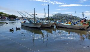 Buscarán que se adelante el Bienpesca para auxiliar a pescadores de Paredones que suman embarcaciones dañadas totalmente