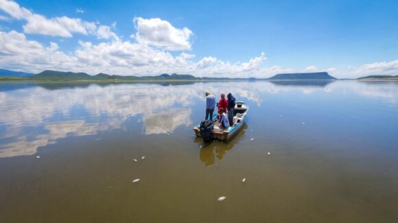 Mortandad de peces en presa Miguel Hidalgo, en El Fuerte, se debe al uso de artes de pesca prohibidas