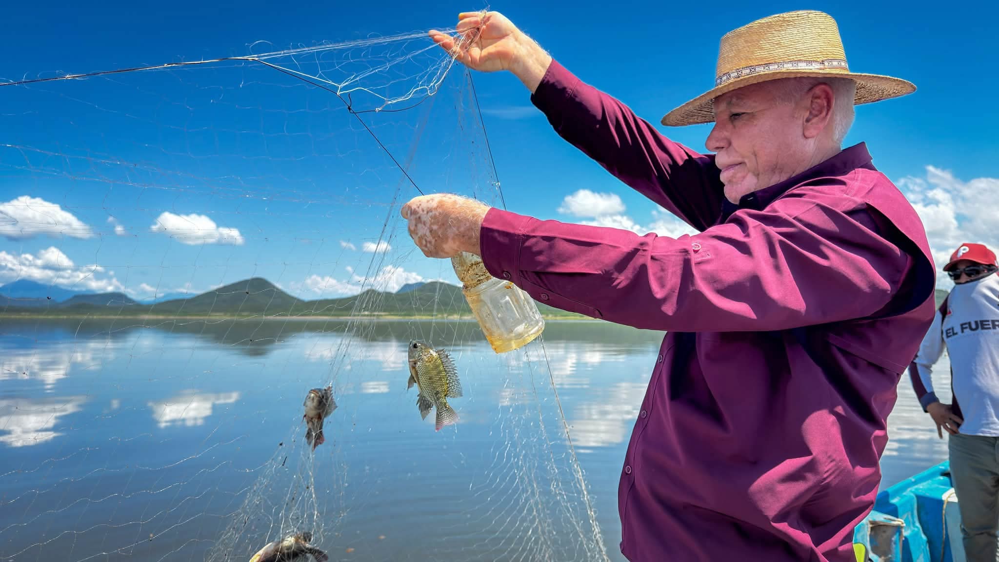 Peces muertos en la presa Miguel Hidalgo, en El Fuerte