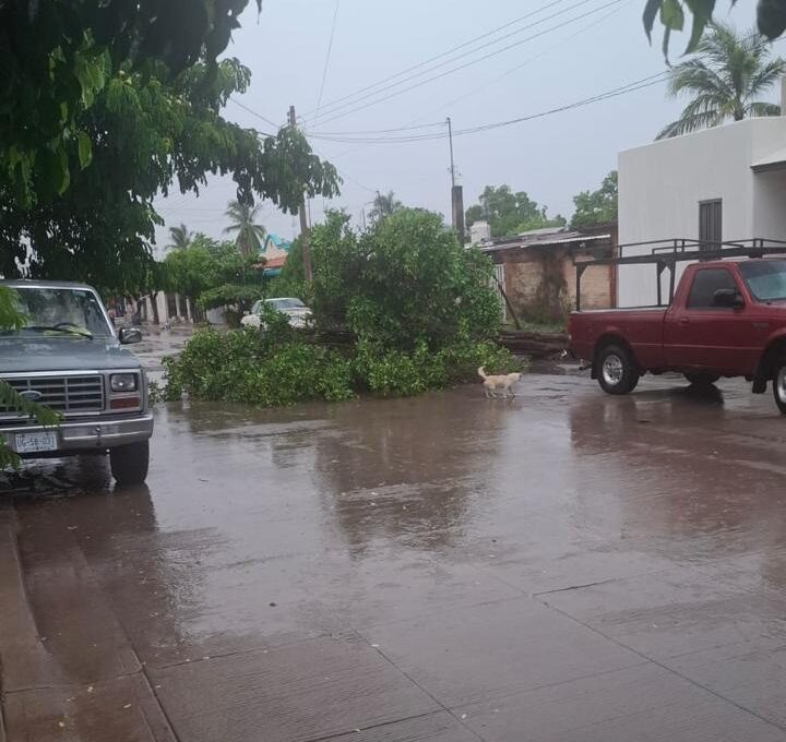 Persona rescatada tras lluvias en Culiacán