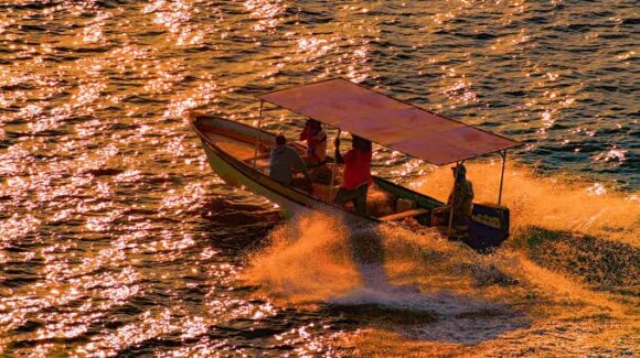 Solicita SPyA apoyo a la Marina para vigilar capturas entre ribereños y de altamar ante días de diferencia en arranques de temporada