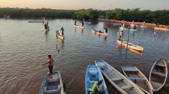 ¡A pescar! Definen el 22 de septiembre para la temporada de camarón 2026-2027 en Sinaloa y todo México