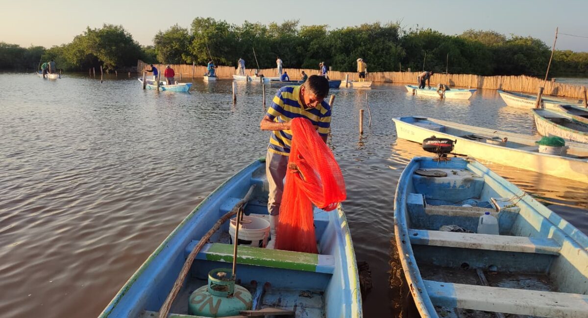 Pescadores de la bahía de Santa María en Angostura determinan ‘aguantarse’ hasta el 5 de octubre para salir por el camarón