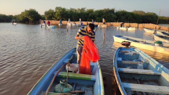 Pescadores de Boca del Río en Guasave, esperan levantamiento de veda con poco camarón y un sector ‘quebrado’