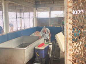 Pescadores de Guasave