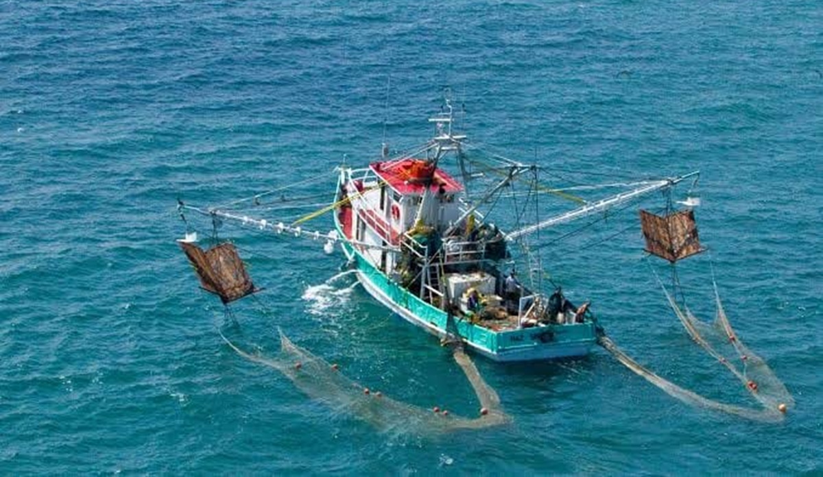Pescadores en altamar