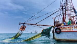 Pescadores de altamar exponen a Columba López la urgente necesidad del apoyo al diésel y rescatar la actividad en Sinaloa