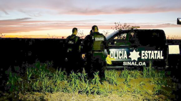 Localizan cuerpo en avanzado estado de descomposición en un predio agrícola de la sindicatura de Benito Juárez, Guasave, Sinaloa