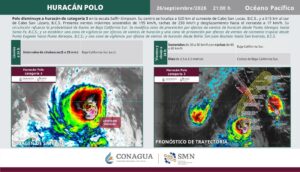 Polo categoría 3
