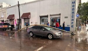 Lluvias dejan nueve árboles y tres postes caídos en Culiacán, Sinaloa; dos vehículos resultan dañados