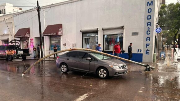 Lluvias dejan nueve árboles y tres postes caídos en Culiacán, Sinaloa; dos vehículos resultan dañados