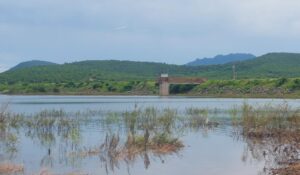 Pescadores piden que desfogues de la Eustaquio Buelna, en Guamúchil, sean solo los necesarios para evitar pérdida de crías