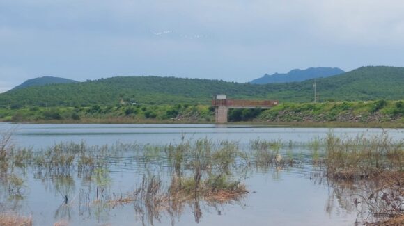 Pescadores piden que desfogues de la Eustaquio Buelna, en Guamúchil, sean solo los necesarios para evitar pérdida de crías