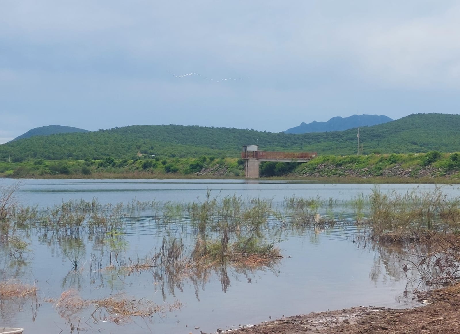 Presa Eustaquio Buelna, en Guamúchil