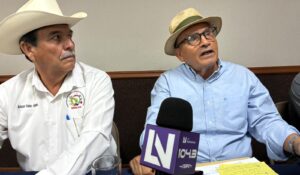 Productores plantean sacar granos básicos del T-MEC y recuperar el mercado nacional