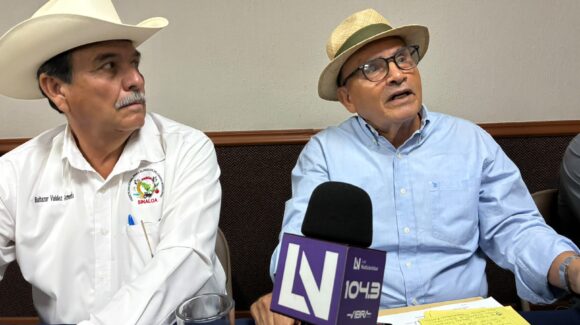 Productores plantean sacar granos básicos del T-MEC y recuperar el mercado nacional