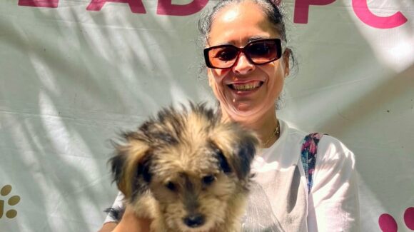 Más de 95 perros y gatos han sido adoptados a través de programa municipal en Mazatlán, Sinaloa