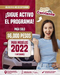 Publicidad de licencia permanente