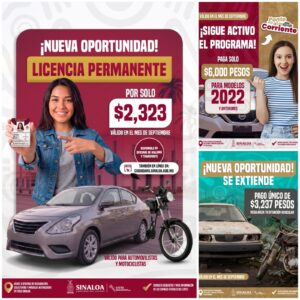 Publicidad de licencia permanente