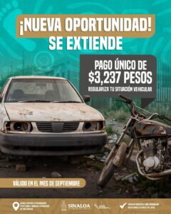 Publicidad de licencia permanente