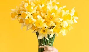 ¿Ya te llegó tu ramo? Es 21 de septiembre y las flores amarillas se vuelven las protagonistas del día